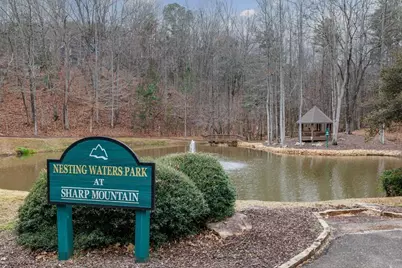 267 Sharp Mountain Parkway, Jasper, GA 30143 - Photo 49