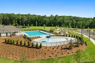 33 Cyrilla Walk, Dallas, GA 30132 - Photo 41