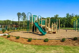 33 Cyrilla Walk, Dallas, GA 30132 - Photo 35