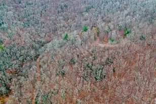 [Address not provided], Rabun Gap, GA 30568 - Photo 89