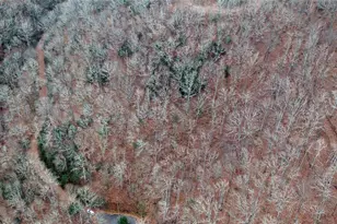 [Address not provided], Rabun Gap, GA 30568 - Photo 93