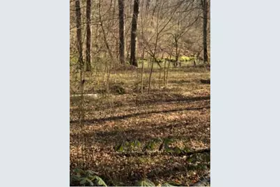 1160 Roach Hollow Road, Ringgold, GA 30736 - Photo 11