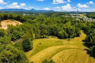 773 Fairview Rd, Jasper, GA 30143 - Photo 23