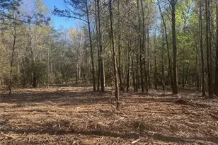 00 Lee Mashburn Rd, Dahlonega, GA 30533 - Photo 1
