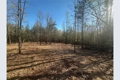 00 Lee Mashburn Road, Dahlonega, GA 30533 - Photo 7
