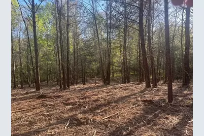 00 Lee Mashburn Road, Dahlonega, GA 30533 - Photo 9