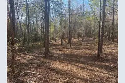 00 Lee Mashburn Road, Dahlonega, GA 30533 - Photo 13