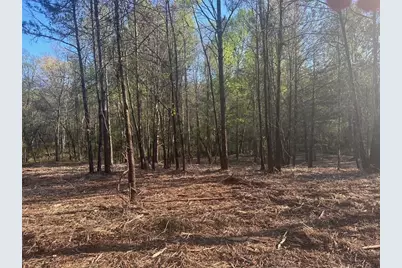 00 Lee Mashburn Road, Dahlonega, GA 30533 - Photo 5