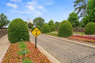 255 Rock Hill Dr, Fayetteville, GA 30215 - Photo 43