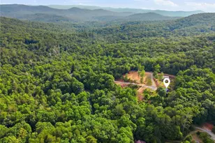 2781 Old Parker Pl Rd, Ellijay, GA 30536 - Photo 57