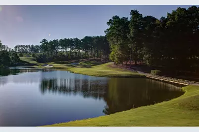 6158 Talmadge Run, Acworth, GA 30101 - Photo 3