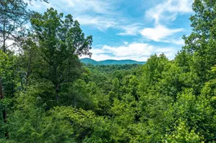 1172 Settler's Ridge Rd, Ellijay, GA 30540 - Photo 3