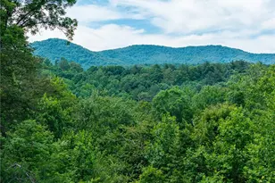 1172 Settler's Ridge Rd, Ellijay, GA 30540 - Photo 55