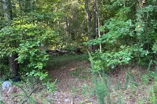 703 Central High Rd, Carrollton, GA 30116 - Photo 11