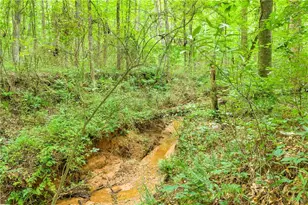 587 J B Owens Rd, Bethlehem, GA 30620 - Photo 15