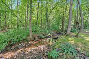 51 Meadow Spring Ct, Temple, GA 30179 - Photo 11