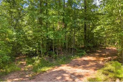 311 Caprice Drive, Martin, GA 30557 - Photo 21