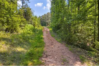 311 Caprice Drive, Martin, GA 30557 - Photo 23