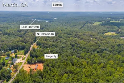 311 Caprice Drive, Martin, GA 30557 - Photo 9