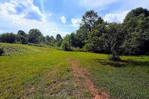 380 Nix Rd, Bremen, GA 30110 - Photo 1