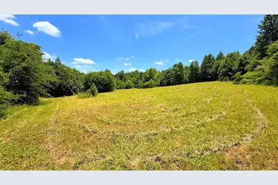 0 Nix Road, Bremen, GA 30110 - Photo 1