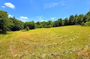 0 Nix Rd, Bremen, GA 30110 - Photo 1