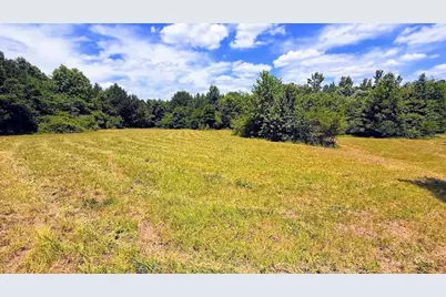 0 Nix Road, Bremen, GA 30110 - Photo 3