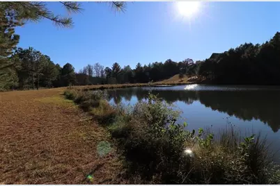 100 Pond Overlook Lane, Morganton, GA 30560 - Photo 35