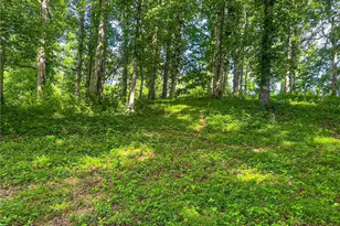2051 Clay Creek Falls Rd, Dahlonega, GA 30533 - Photo 121