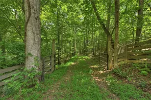 192 Delphi Hills Ln, McCaysville, GA 30555 - Photo 117