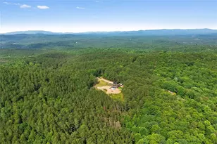 6333 Big Ridge Rd, Talking Rock, GA 30175 - Photo 61