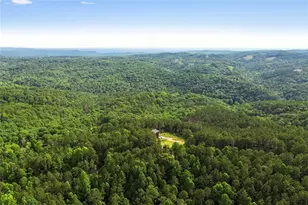 6333 Big Ridge Rd, Talking Rock, GA 30175 - Photo 59