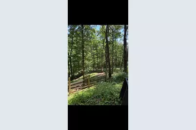 388 River Shoals Road, Dawsonville, GA 30534 - Photo 11