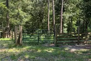 388 River Shoals Rd, Dawsonville, GA 30534 - Photo 9