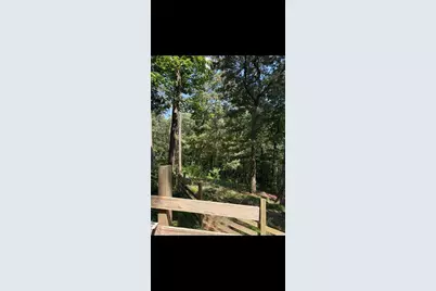 388 River Shoals Road, Dawsonville, GA 30534 - Photo 13