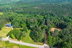 Lot 3 Hwy 136 Connector, Talking Rock, GA 30175 - Photo 3