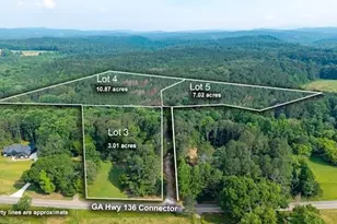 Lot 3 Hwy 136 Connector, Talking Rock, GA 30175 - Photo 3