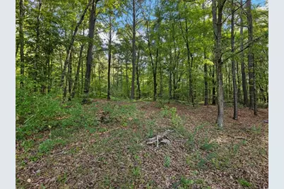 4023 Anvil Block Road, Ellenwood, GA 30294 - Photo 49