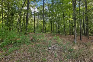 4023 Anvilblock Rd, Ellenwood, GA 30294 - Photo 49
