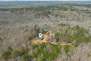 9150 W Banks Mill Rd, Winston, GA 30187 - Photo 35