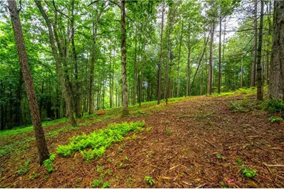 00 Roaring Forks Lane, East Ellijay, GA 30540 - Photo 15