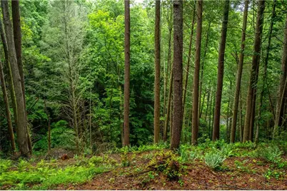 00 Roaring Forks Lane, East Ellijay, GA 30540 - Photo 9