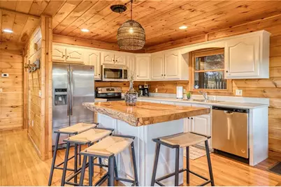 48 Lookout Drive, Blue Ridge, GA 30513 - Photo 45