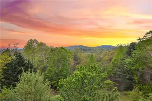 48 Lookout Drive, Blue Ridge, GA 30513 - Photo 9