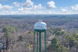 227 Rolling Meadows Trace, Jasper, GA 30143 - Photo 29