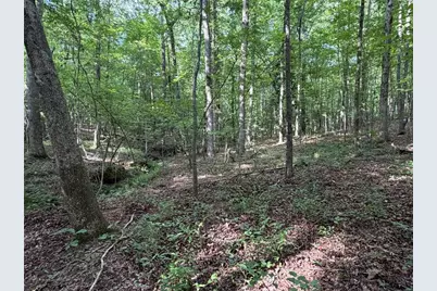 6.9 Acres Rivertown Road, Fairburn, GA 30213 - Photo 17