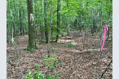 6.9 Acres Rivertown Road, Fairburn, GA 30213 - Photo 9