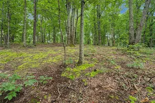 1230 Redbud Dr, Marietta, GA 30062 - Photo 29