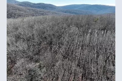 184 St Andrews Way, Ellijay, GA 30536 - Photo 19