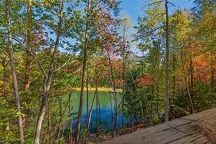 85 Moreland Trail, Cherrylog, GA 30522 - Photo 9